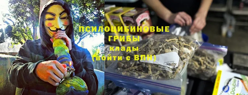 Псилоцибиновые грибы Magic Shrooms  Новопавловск 