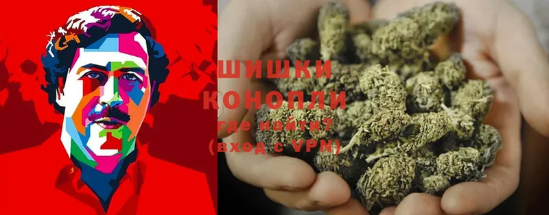 МАРИХУАНА SATIVA & INDICA  купить наркотик  Новопавловск 